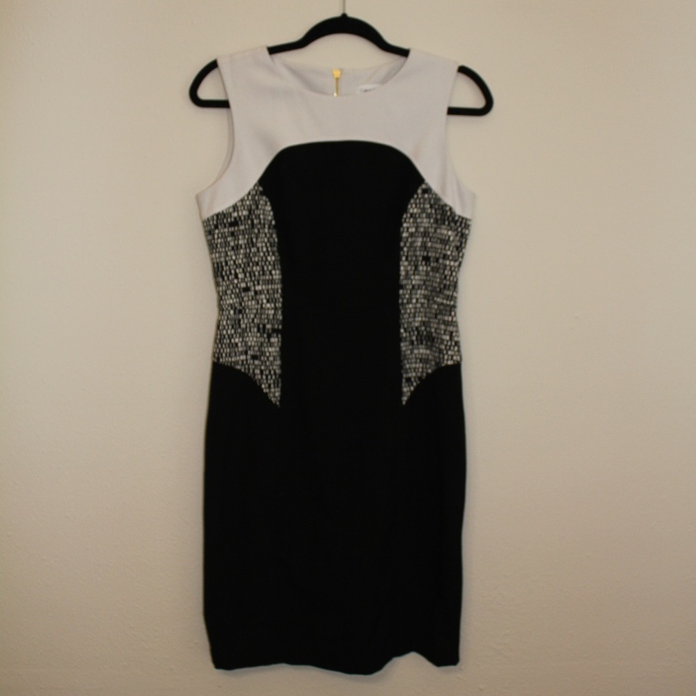 Calvin Klein Black & White Dress
